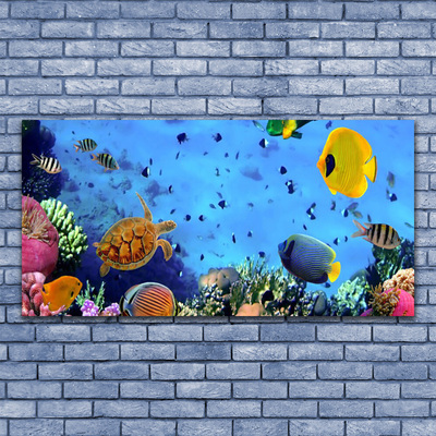 Image sur verre Tableau Poisson sous-marin récif de corail nature bleu jaune multicolore