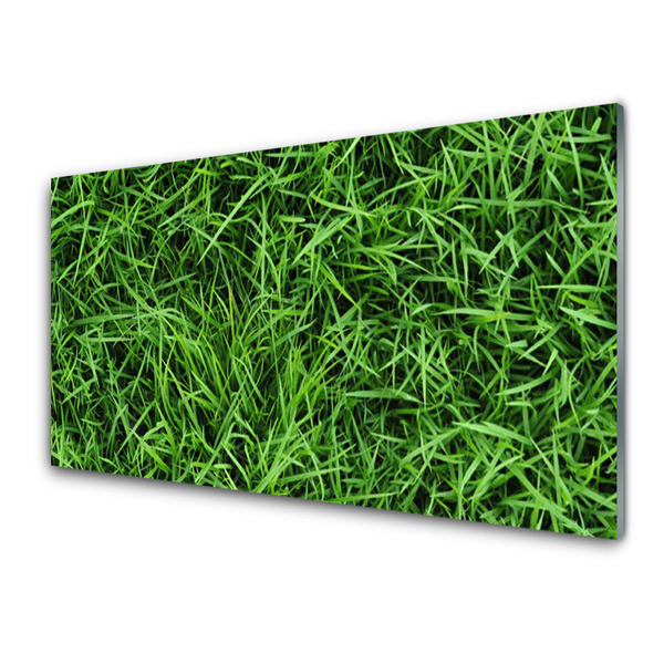 Image sur verre Tableau Herbe pelouse floral vert