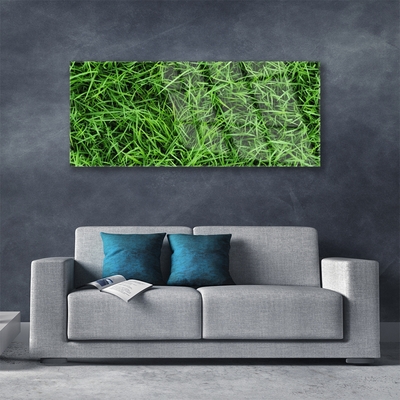 Image sur verre Tableau Herbe pelouse floral vert