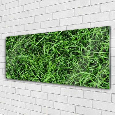Image sur verre Tableau Herbe pelouse floral vert