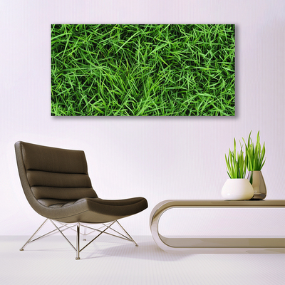 Image sur verre Tableau Herbe pelouse floral vert