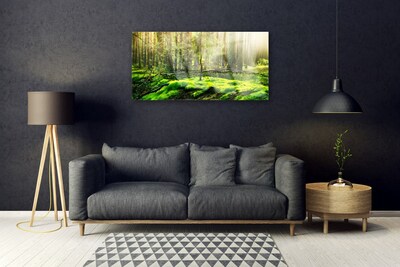 Image sur verre Tableau Bryophyte forêt nature vert