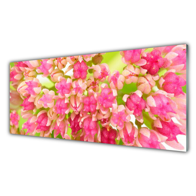 Image sur verre Tableau Fleurs floral rose