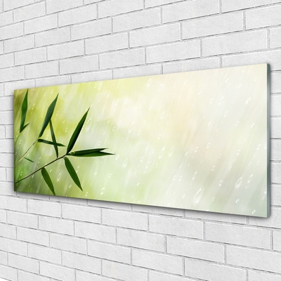 Image sur verre Tableau Feuilles pluie floral vert