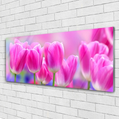 Image sur verre Tableau Tulipes floral rose
