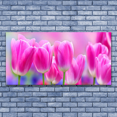 Image sur verre Tableau Tulipes floral rose