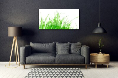 Image sur verre Tableau Herbe floral vert blanc