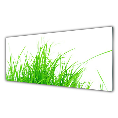 Image sur verre Tableau Herbe floral vert blanc