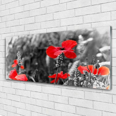 Image sur verre Tableau Coquelicots floral rouge gris