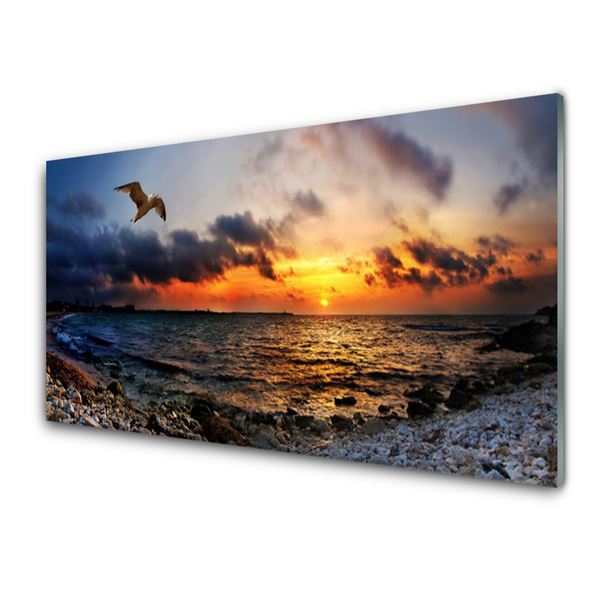 Image sur verre Tableau Mouette mer plage paysage bleu orange rouge