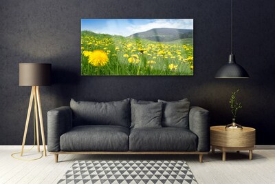 Image sur verre Tableau Pissenlit champ nature jaune vert bleu