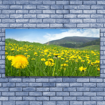 Image sur verre Tableau Pissenlit champ nature jaune vert bleu