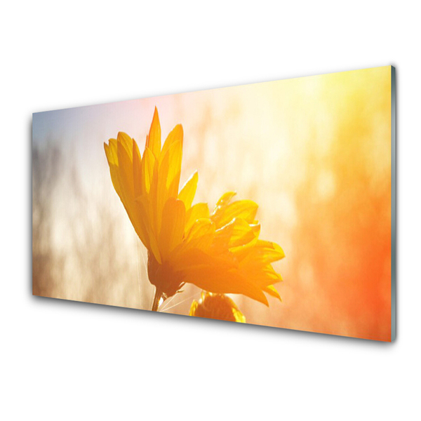 Image sur verre Tableau Tournesol floral jaune