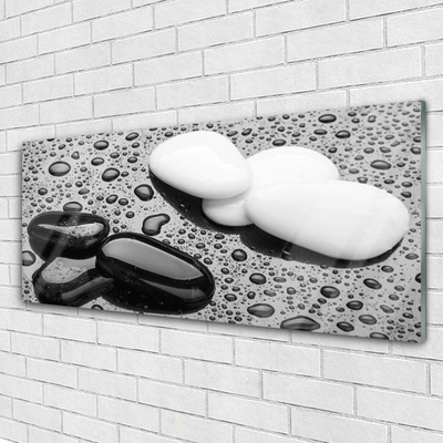 Image sur verre Tableau Pierres art noir blanc