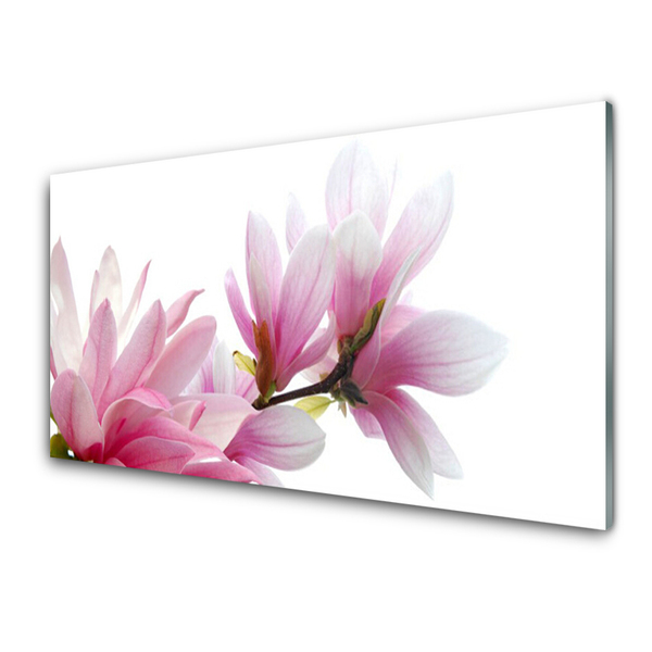 Image sur verre Tableau Magnolia fleurs floral rose