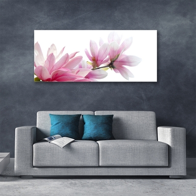 Image sur verre Tableau Magnolia fleurs floral rose