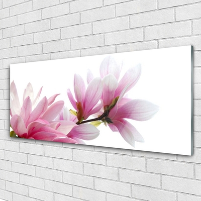 Image sur verre Tableau Magnolia fleurs floral rose
