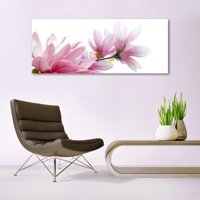 Image sur verre Tableau Magnolia fleurs floral rose