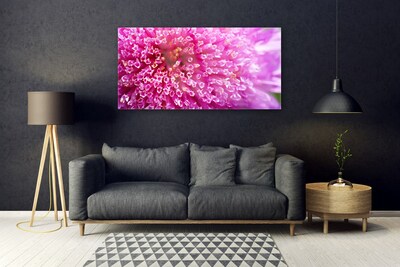 Image sur verre Tableau Fleur floral rose
