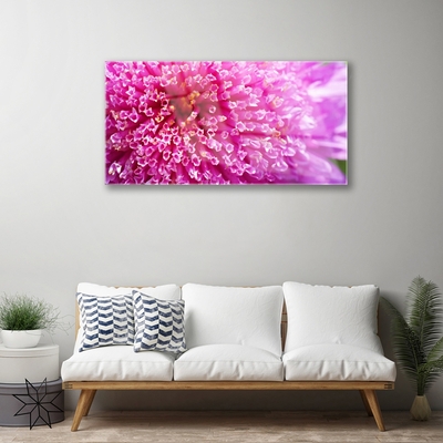 Image sur verre Tableau Fleur floral rose