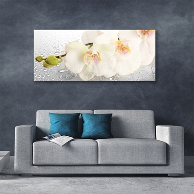 Image sur verre Tableau Fleurs floral blanc gris