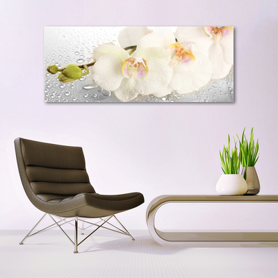 Image sur verre Tableau Fleurs floral blanc gris