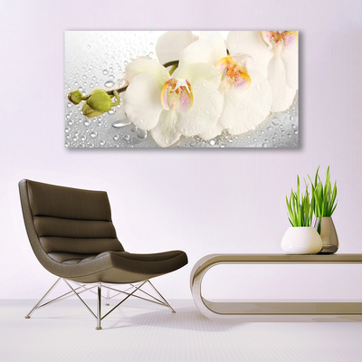 Image sur verre Tableau Fleurs floral blanc gris