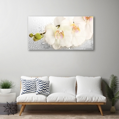 Image sur verre Tableau Fleurs floral blanc gris