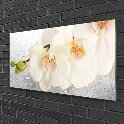 Image sur verre Tableau Fleurs floral blanc gris