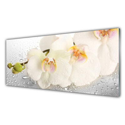 Image sur verre Tableau Fleurs floral blanc gris