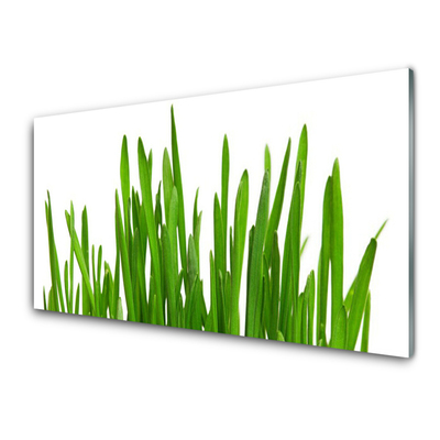 Image sur verre Tableau Herbe floral vert blanc