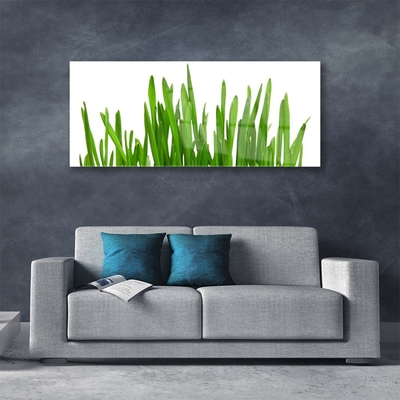 Image sur verre Tableau Herbe floral vert blanc