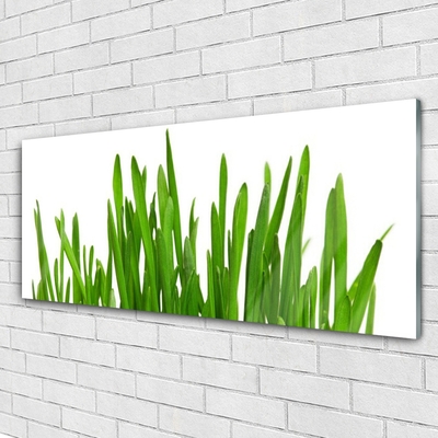 Image sur verre Tableau Herbe floral vert blanc