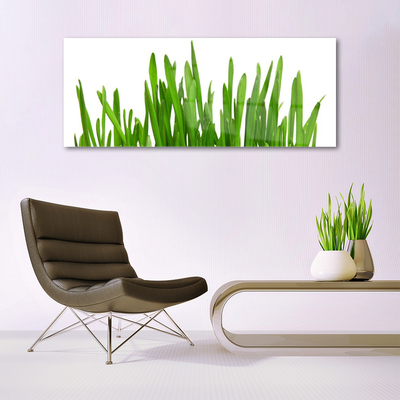 Image sur verre Tableau Herbe floral vert blanc