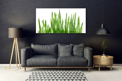 Image sur verre Tableau Herbe floral vert blanc