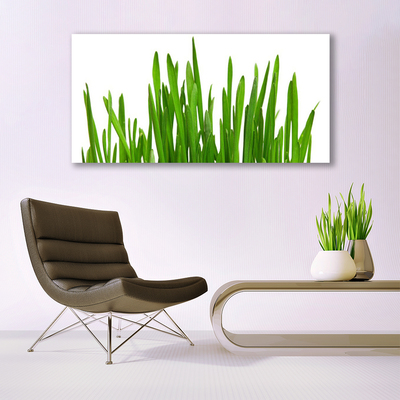 Image sur verre Tableau Herbe floral vert blanc