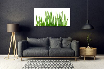 Image sur verre Tableau Herbe floral vert blanc