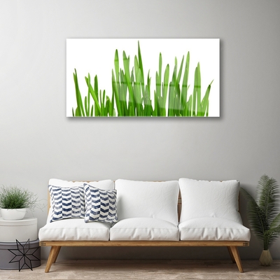 Image sur verre Tableau Herbe floral vert blanc