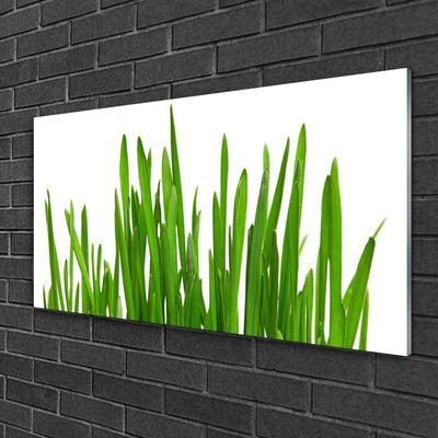 Image sur verre Tableau Herbe floral vert blanc