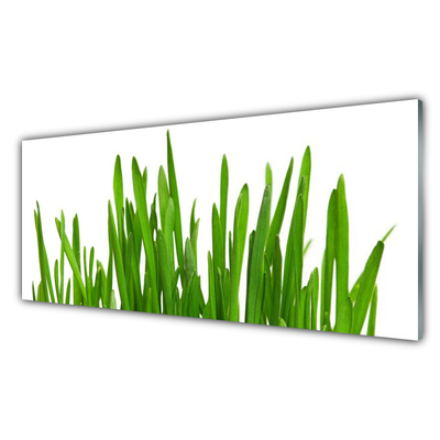 Image sur verre Tableau Herbe floral vert blanc