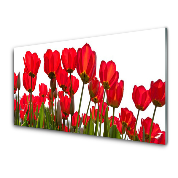 Image sur verre Tableau Fleurs floral rouge vert blanc