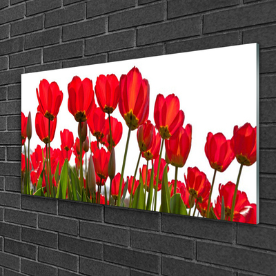 Image sur verre Tableau Fleurs floral rouge vert blanc