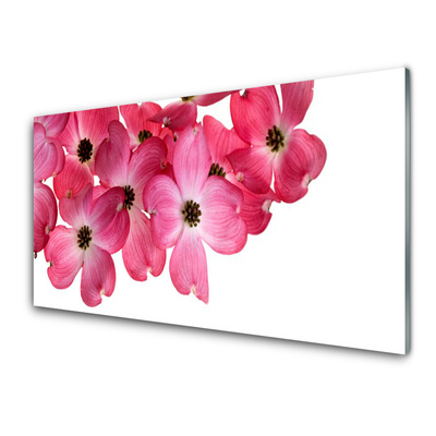 Image sur verre Tableau Fleurs floral rose blanc