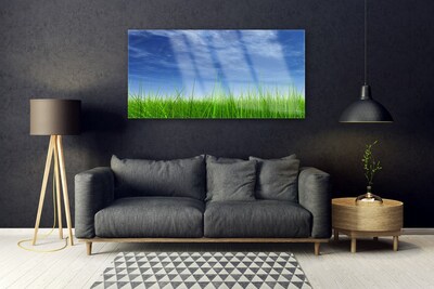 Image sur verre Tableau Ciel herbe nature bleu vert