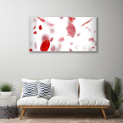 Image sur verre Tableau Pétales de rose floral rouge blanc