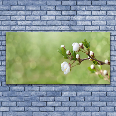 Image sur verre Tableau Fleurs floral vert blanc