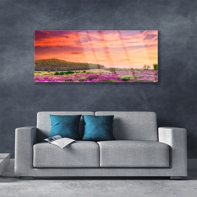 Image sur verre Tableau Prairie fleurs paysage violet vert rose