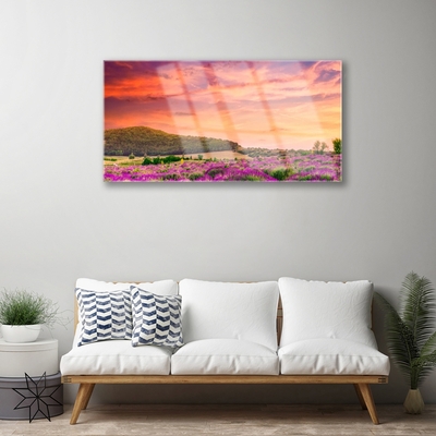Image sur verre Tableau Prairie fleurs paysage violet vert rose
