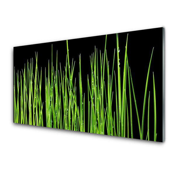 Image sur verre Tableau Herbe floral vert noir