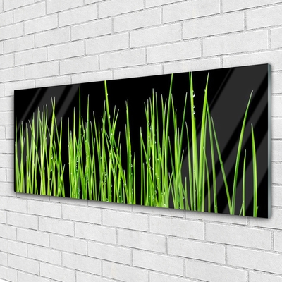 Image sur verre Tableau Herbe floral vert noir